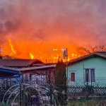 WhatsApp Image 2022-02-01 at 17.31.51